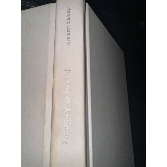 Feeling & Knowing: Making Minds Conscious FIRST EDITION Missing DJ HC Back MARKS - Picture 4 of 7